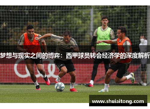 梦想与现实之间的博弈：西甲球员转会经济学的深度解析