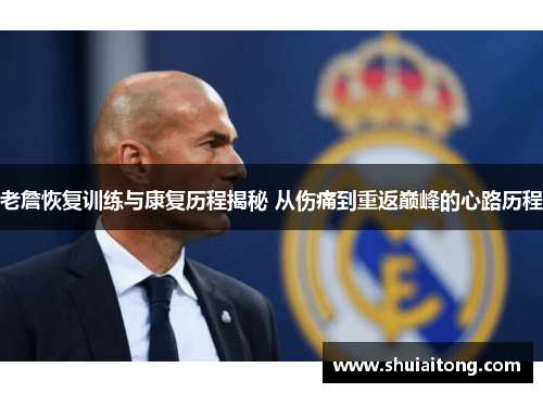 老詹恢复训练与康复历程揭秘 从伤痛到重返巅峰的心路历程